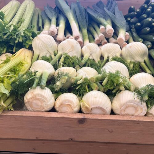 485770086_1171213221462153_602829776160426301_n