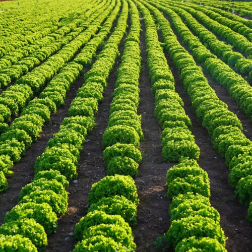 491724014_1191379649445510_5499944915554130784_n