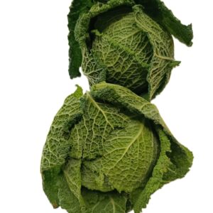Cavolo Verza Verde