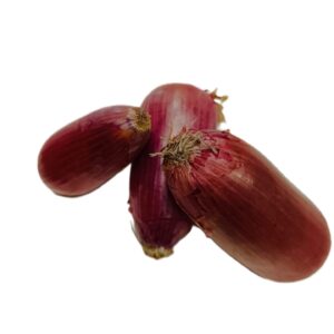 Cipolla Ramata Dolce