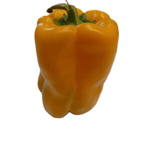 Peperone Giallo