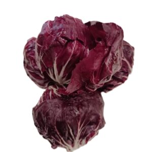 Radicchio Tondo Rosso
