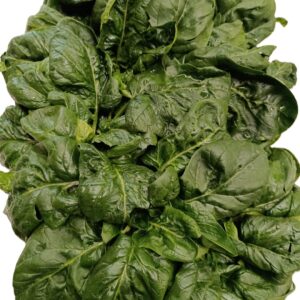 Spinaci Verdi