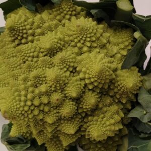 Broccolo Romanesco