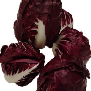 Radicchio Semilungo Tondo